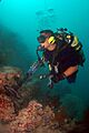 US Navy 070321-N-5329L-001 Navy Diver 1st Class Larry Polendey, of the Joint POW-MIA Accounting Command, searches for additional wreckage using an underwater metal detector near a World War II site off the coast of Koror, Palau