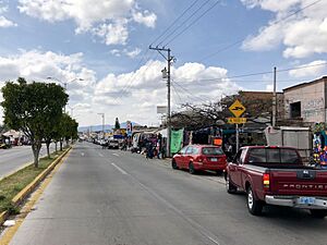 Archivo:Uriangato Zona Comercial Textil en el Bulevar Leovino Zavala 104