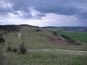 Archivo:View from Beacon Hill, Ivinghoe - geograph.org.uk - 215779