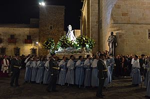 Archivo:Virgen de la Montaña entrando en la Concatedral 2017