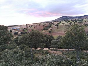 Archivo:Vista desde los alrededores