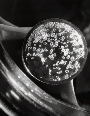 Archivo:Xenon tetrafluoride