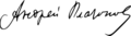 A. Platonov signature
