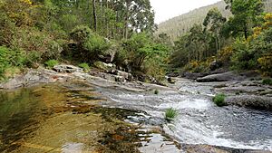 Archivo:A Pobra do Caramiñal río Pedras 36