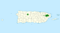 Amazona vittata map