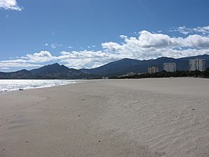 Archivo:Argelès-sur-Mer (march 2008) 262