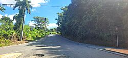 Carretera PR-836, Guaynabo, Puerto Rico (1).jpg