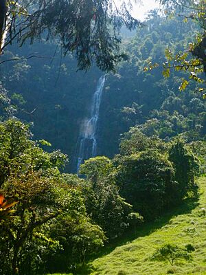 Archivo:Cascada de Guayquichuma