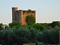 Castillo San Martín de Valdeiglesias