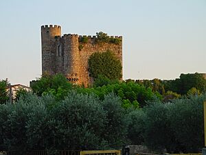 Archivo:Castillo San Martín de Valdeiglesias