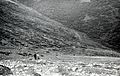 Corral de los Chinos