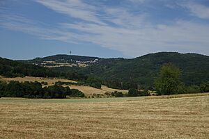 Archivo:DSC08544 Atzelberg Eppenhain und Rossert-Nebenkuppe Hainkopf von Südwesten