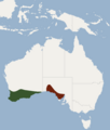 Distribution of Nyctophilus major