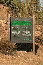 Archivo:En memoria de los extremeños asesinados por la barbarie fascista en los puentes del Tajo (25 de octubre de 2009, Parque Nacional de Monfragüe) 01