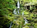 Fundy National Park of Canada 10