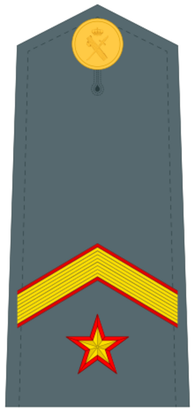 Guardiacivildivi33