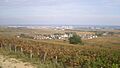 IMG Pommard et Beaune