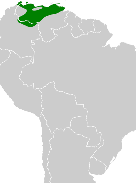 Icterus icterus map