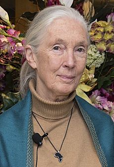 Archivo:Jane Goodall 2015