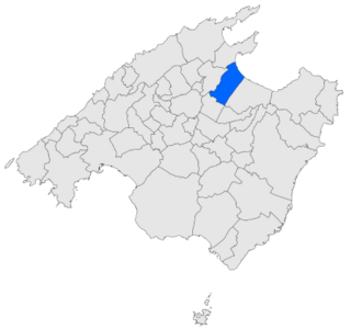 Localització de Muro respecte de Mallorca.svg