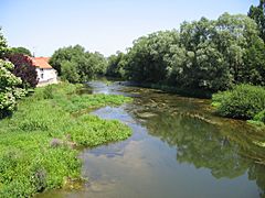 Meuse à Domrémy1