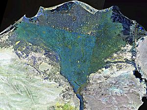 Archivo:Nile delta landsat false color