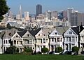 Painted Ladies