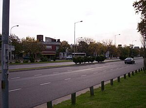 Archivo:Parqueavenida
