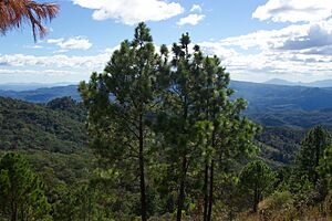 Archivo:Perquín 4036