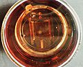 Photomultiplier 6363 04