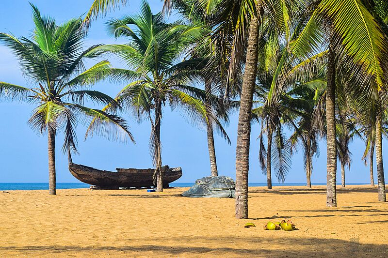 Plage au cocotier