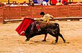 Plaza de toros de valencia 2014