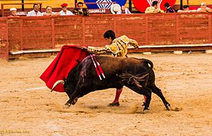 Archivo:Plaza de toros de valencia 2014