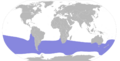 Procellaria aequinoctialis map
