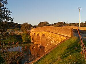 Archivo:Puente de Alía