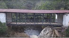 Archivo:Puente real gambita