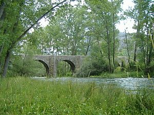 Archivo:Puente viejo de Boñar
