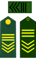 SAEJB