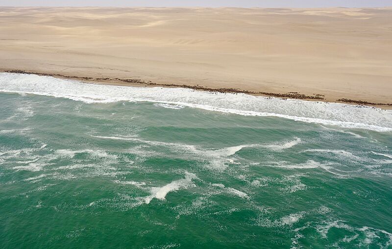 Seal Colonies at Skeleton Coast (37714667276)