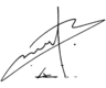 Signature of Balen Shah.svg