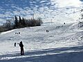 Sledding at Carlington Park, Ottawa (31263306644)