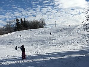 Archivo:Sledding at Carlington Park, Ottawa (31263306644)