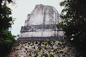 Archivo:Tikal Temple VI (Temple of the Inscriptions) - Back side of Roof Comb
