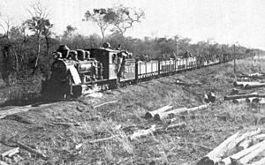 Archivo:Trem transportando paraguaios para a guerra.