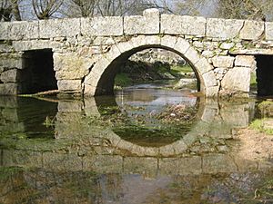 Archivo:Tudera - Puente romano (2)