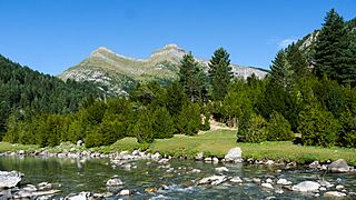 Valle de Bujaruelo - WLE Spain 2015 (2).jpg