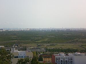 Archivo:View from castle Puig