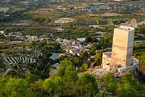 Archivo:Vista Castell de Carricola 03