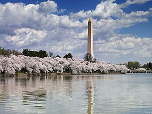 Archivo:Washington Monument, Washington, D.C. 04037u original