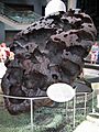 Willamette Meteorite AMNH